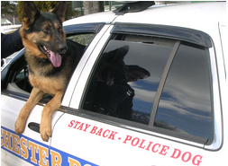 File photo/MPD Police Dog unit.
