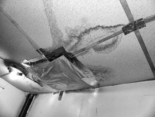 "Repair" of a bathroom ceiling at 215 Wilson St.