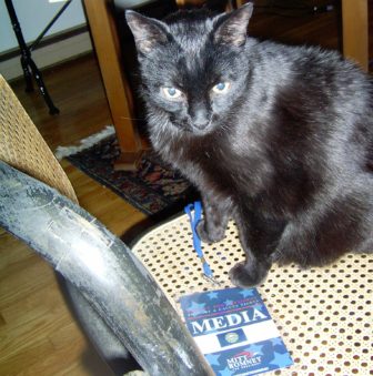 Charlie, the black cat, plays with the Romney laminated press pass. 