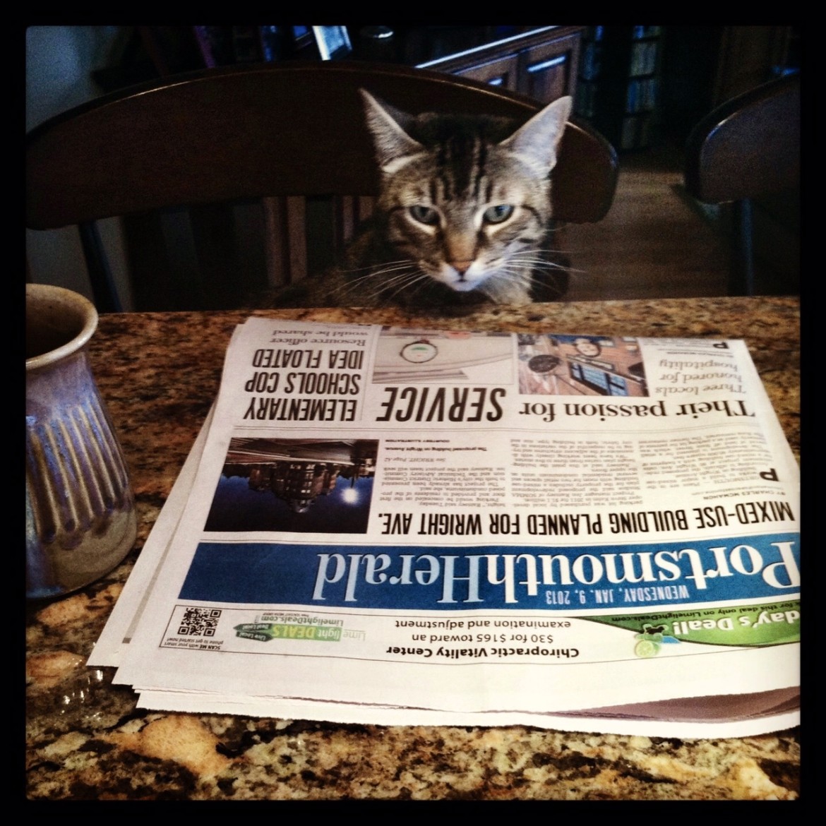 Sammy, the tabby, saw the Romney story in the paper, but the other cats were sleeping on the story.