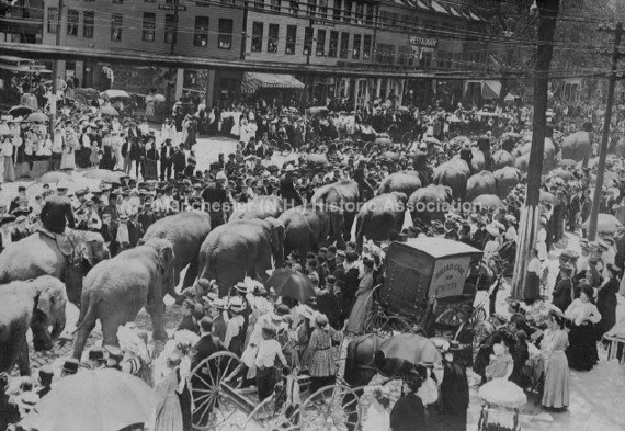 It was never a happy day for the street cleaners when the circus parade made its way down Elm Street.
