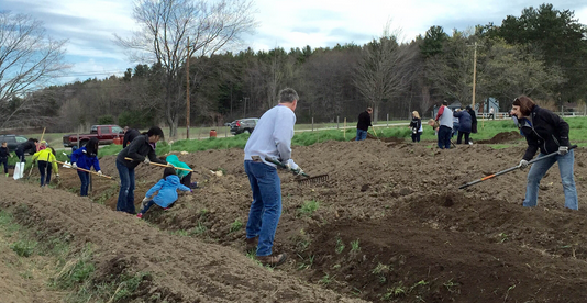 Volunteers pitch in at the NH Food Bank’s production garden.