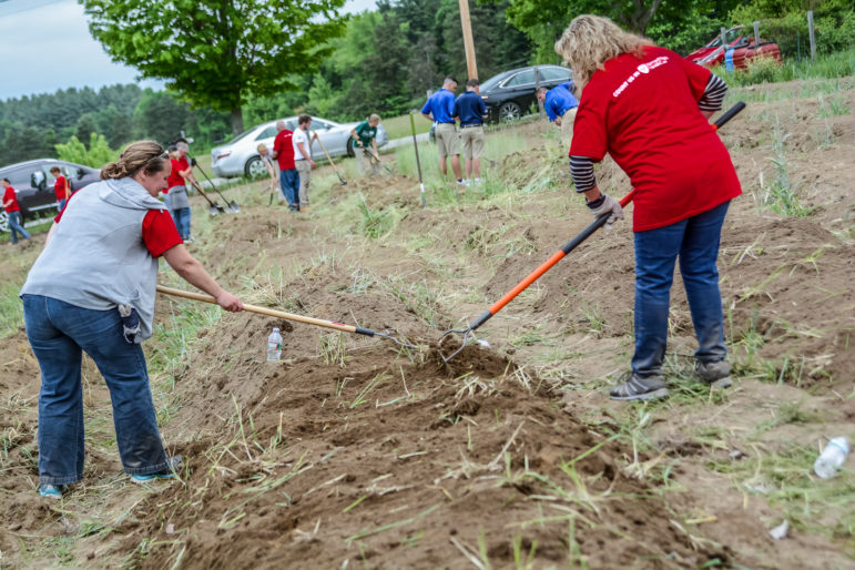 More than 100 volunteers from Harvard Pilgrim Health Care, Dartmouth Hitchcock, and Eastern Bank participated in a Day of Service weeding and gardening in the NH Food Bank’s Production Garden on North River Road in Manchester.