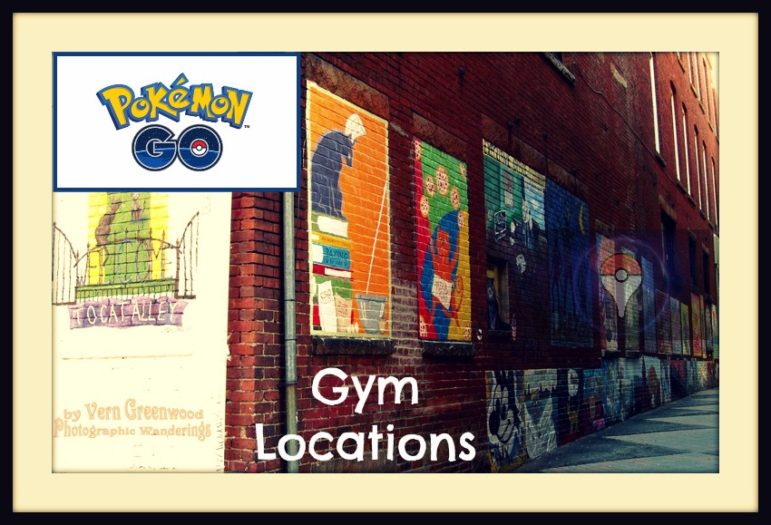 cats alley dt gym