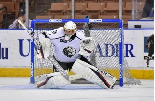 Manchester Monarchs back on the ice Saturday.