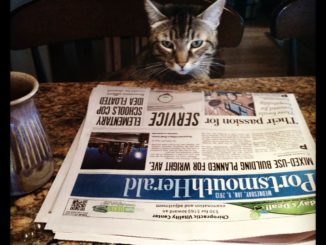 Sammy reading newspaper