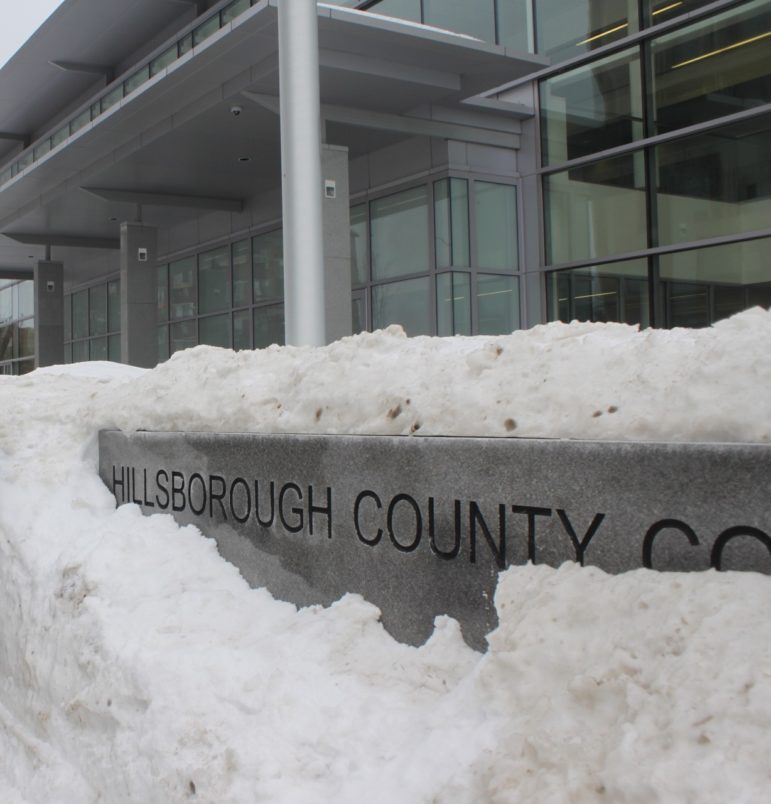 hillsborough county court records auctions