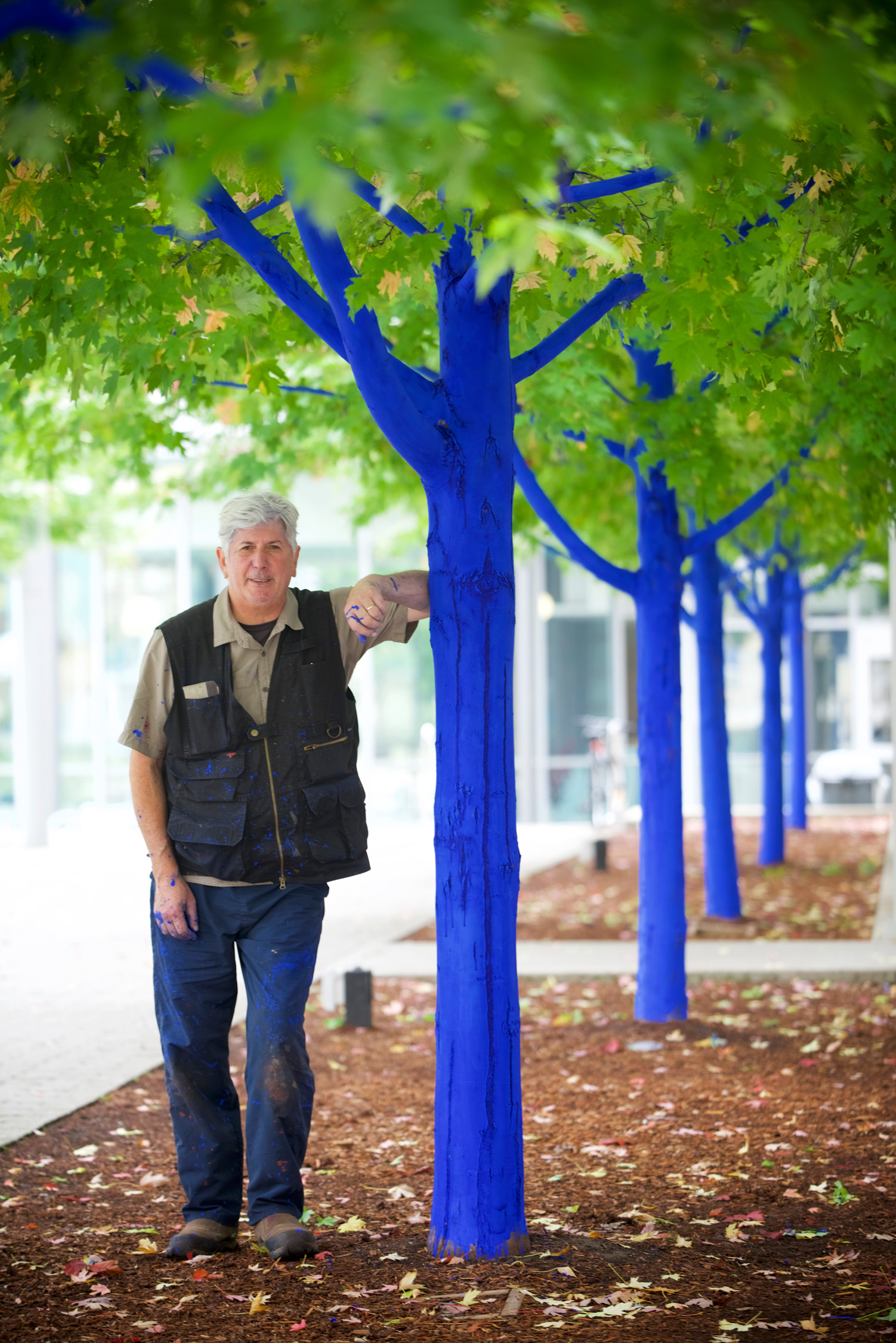 Kon with blue trees in Mississauga