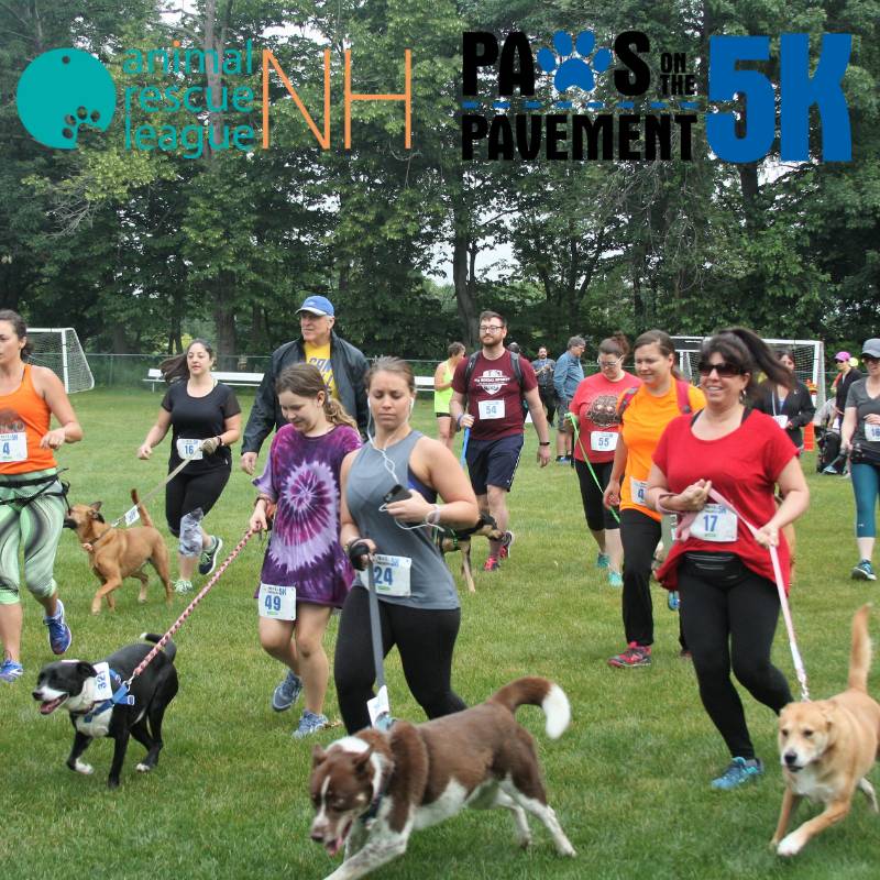 Animal Rescue League 5K: Think of it as the Boston Marathon for Fido |  Manchester Ink Link
