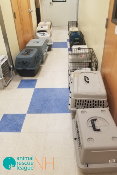 Crates in Hallway