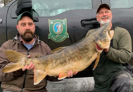 This trout shattered the old record of 28 pounds by 9 pounds. Courtesy Photo
