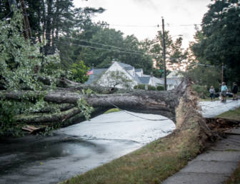 Heavy winds knock out power, take down trees across the city