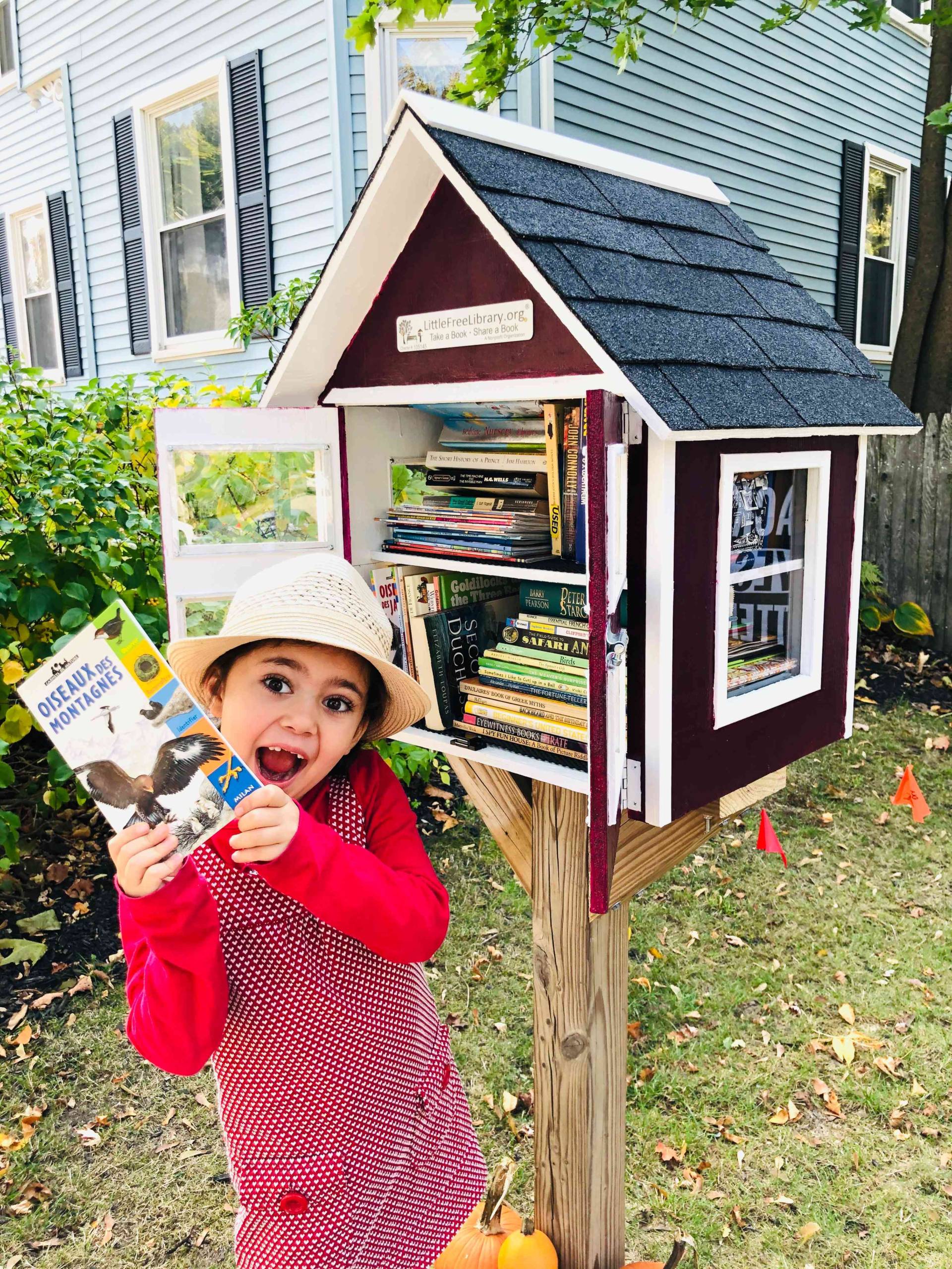 How Many Little Free Libraries Are There