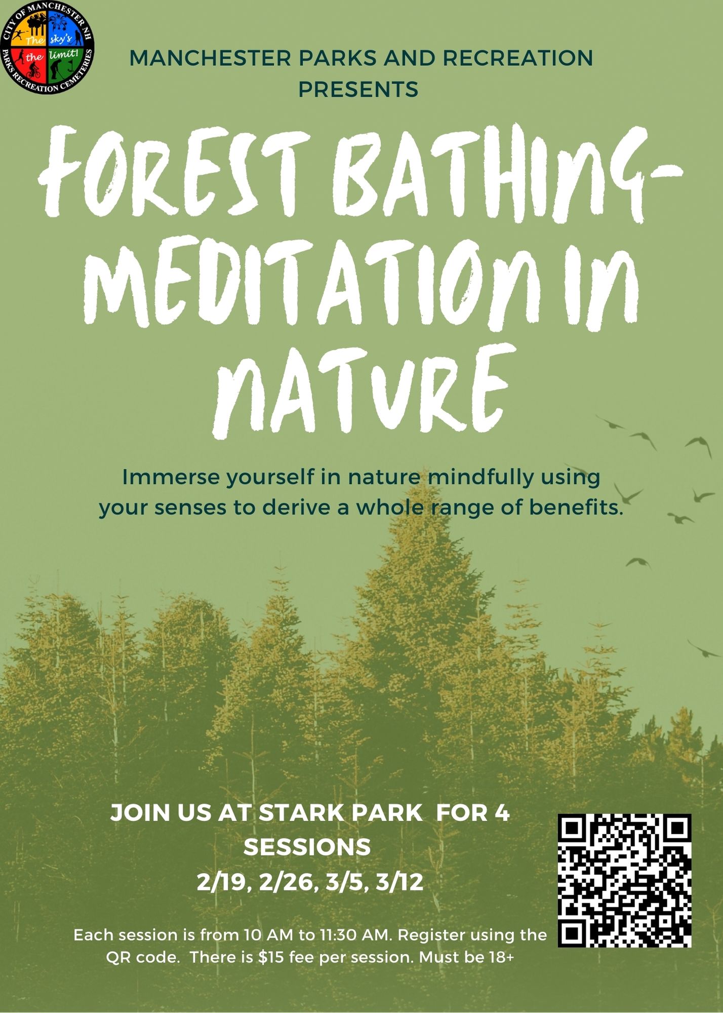 Forest Bathing Flyer