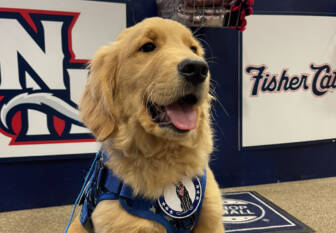 Fisher Cats announce new bat dog-in-training
