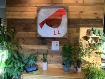 Concord’s Feathered Friend Brewing Company: A classic third space