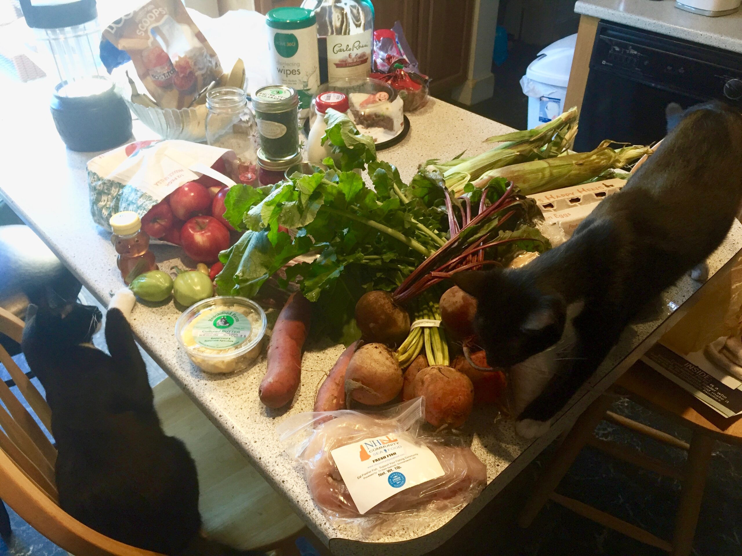 My haul: Luna checks out the vegetables while Bella bypasses the beets for the fresh pollock.